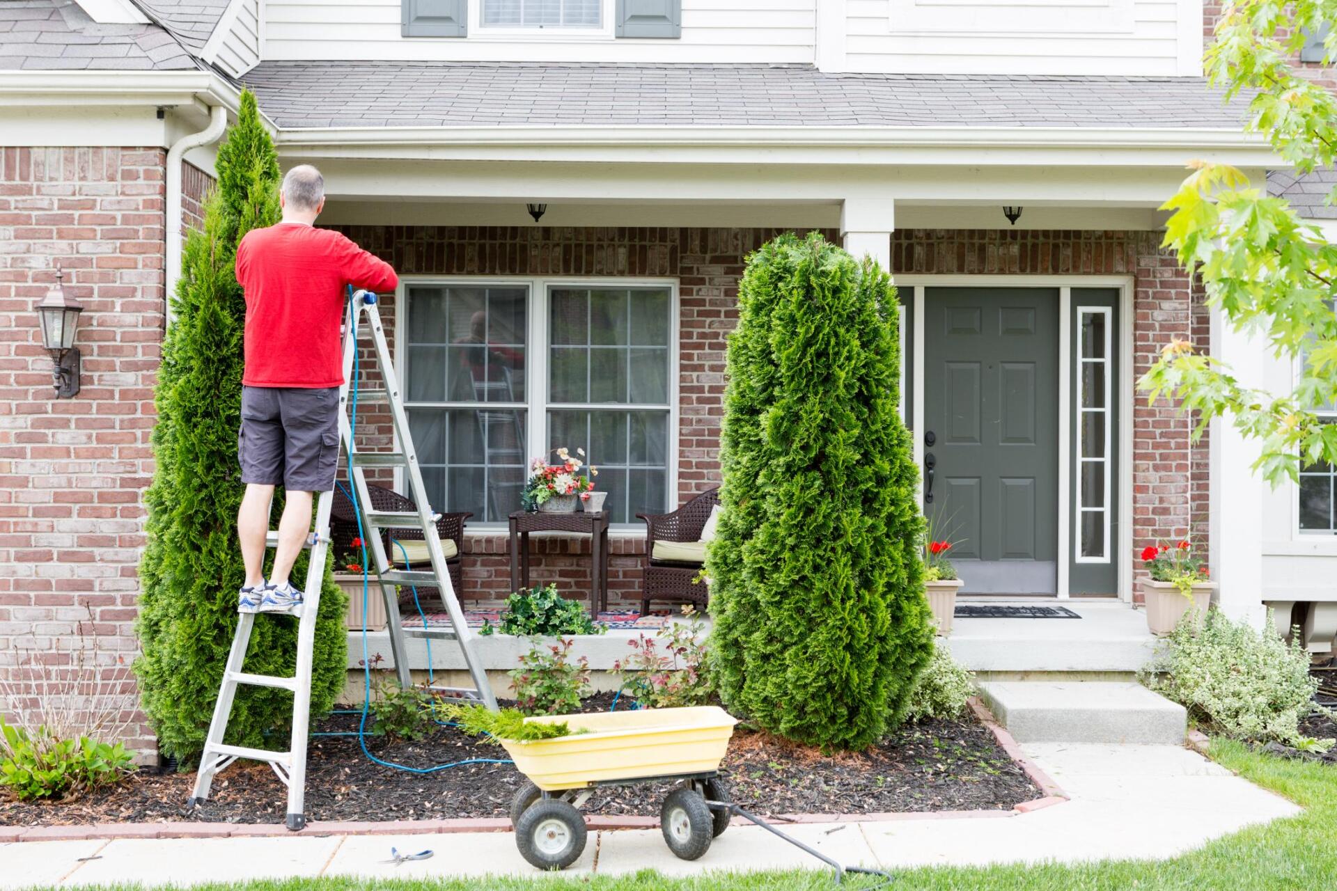 man in the ladder