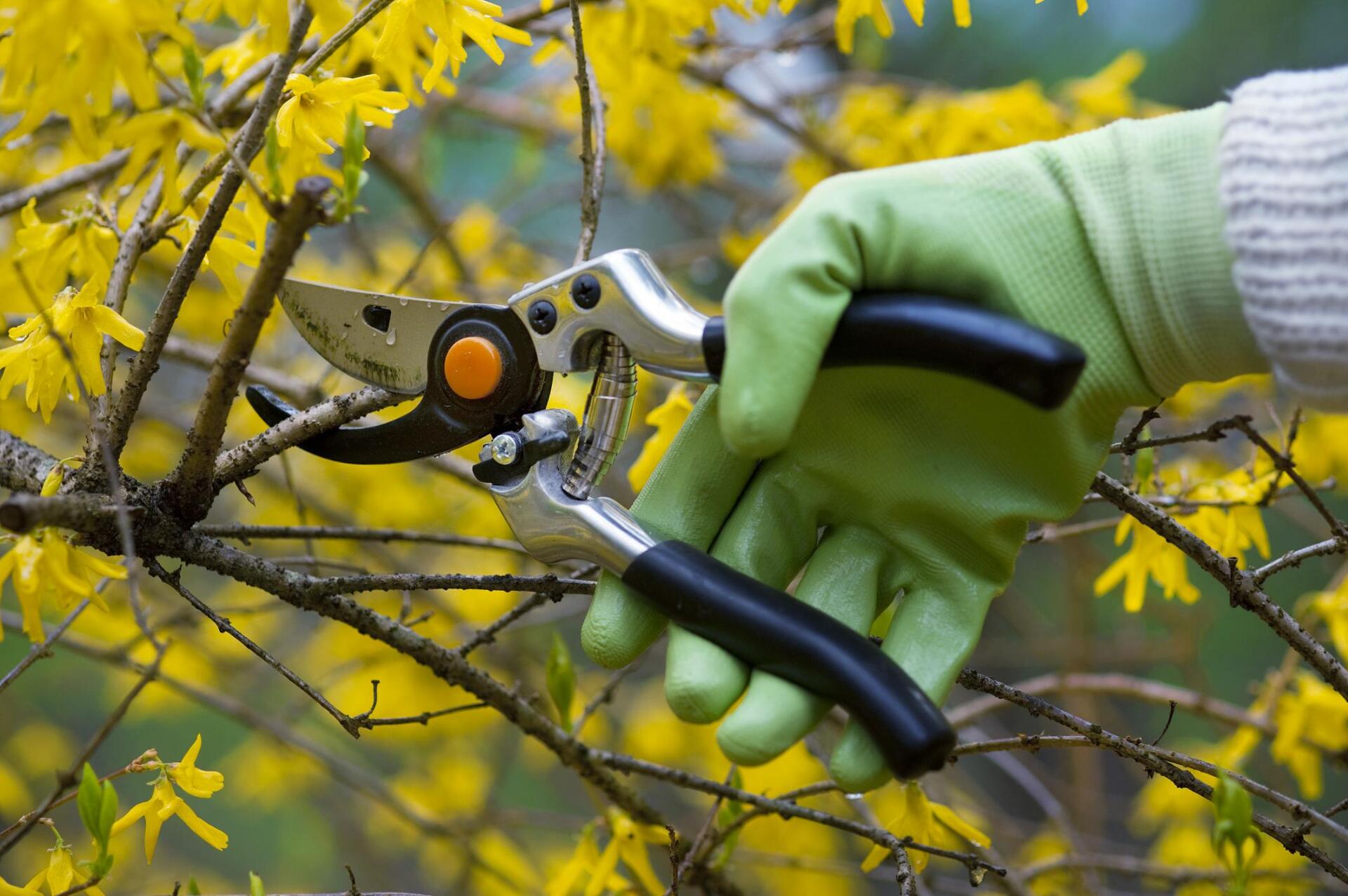 worker using a cutter