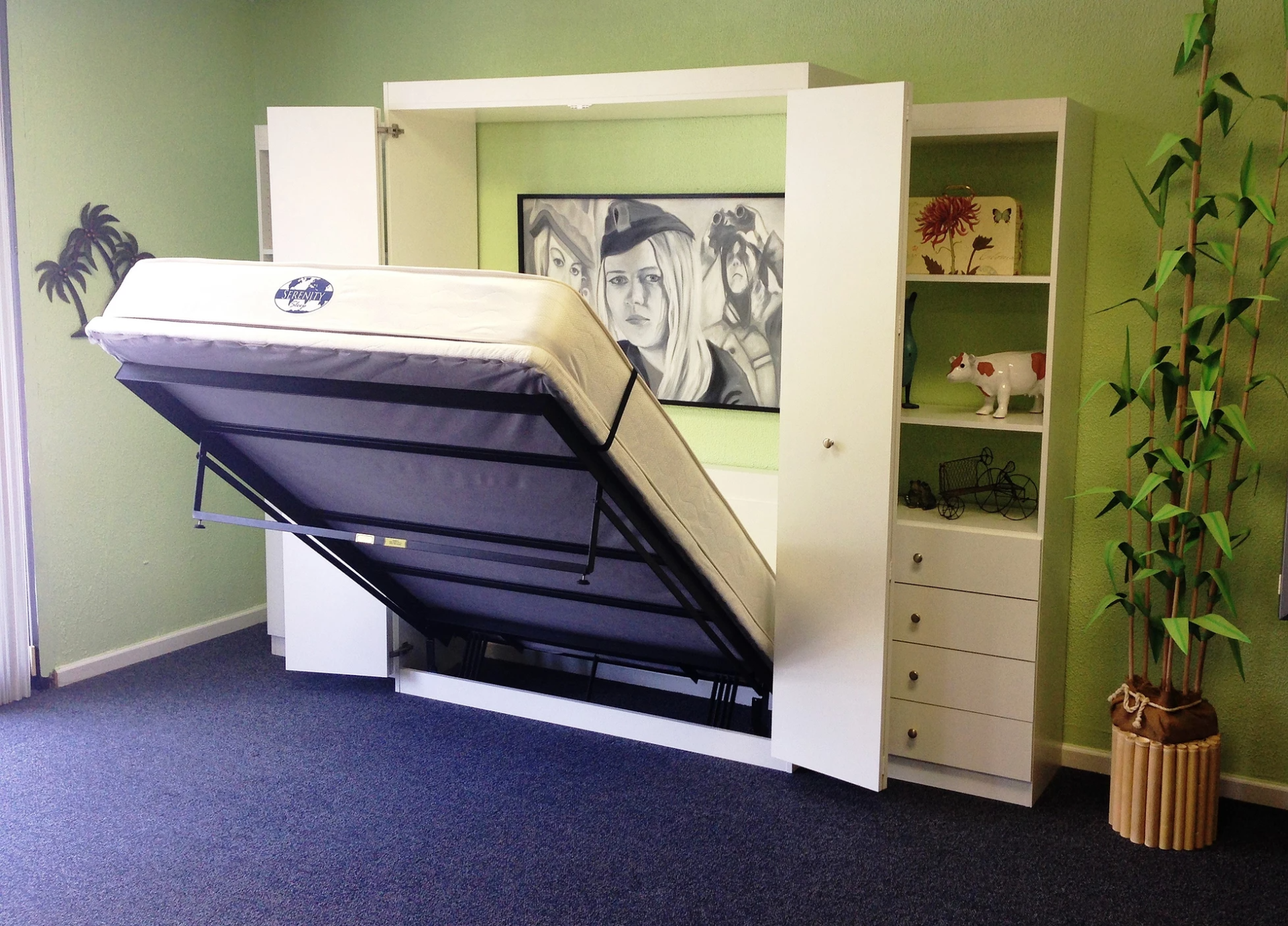 Phil Robison's Murphy Bed