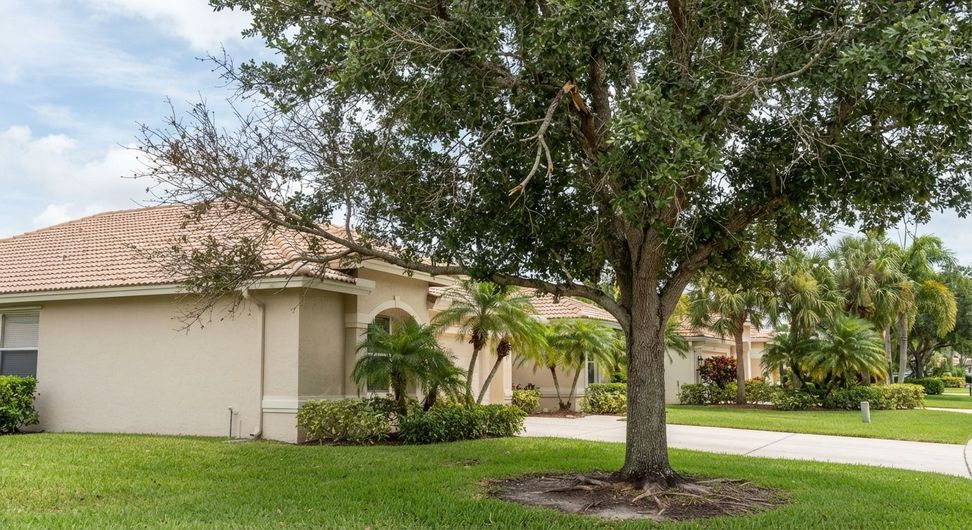 Common tree problems including dead and damaged branches in Wellington Florida