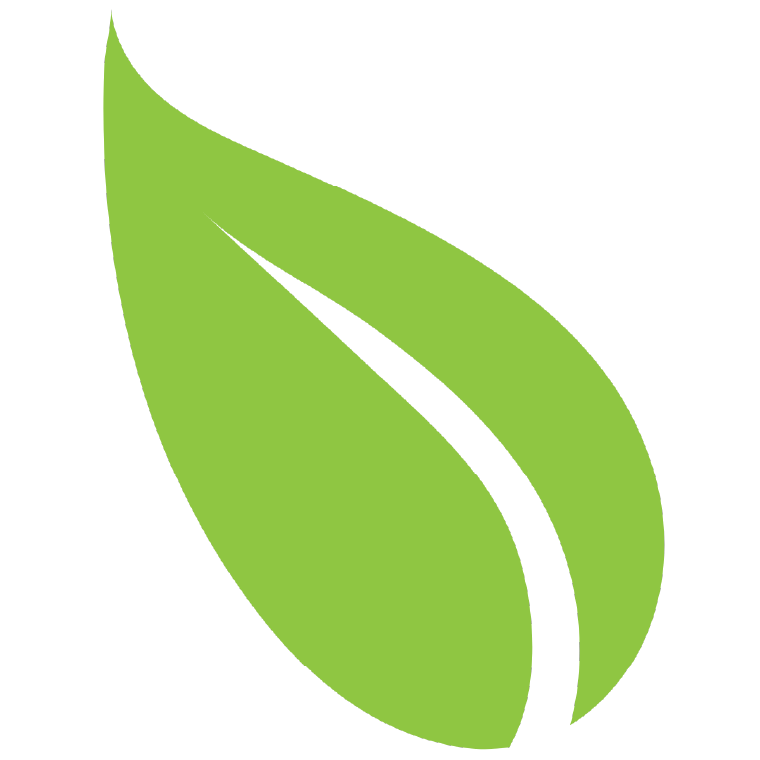 A green leaf with a white stripe on a white background.