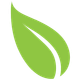 A green leaf with a white stripe on a white background.