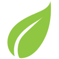 A green leaf with a white stripe on a white background.