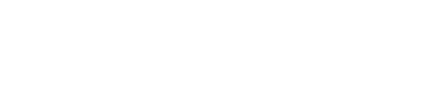 Air Plus Logo