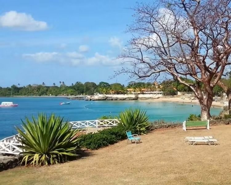 Tropical beachfront with turquoise water, white fence, and a leafless tree under a blue sky.