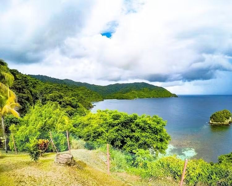 Lush green tropical coastline with blue ocean, rocky shore, and cloudy sky