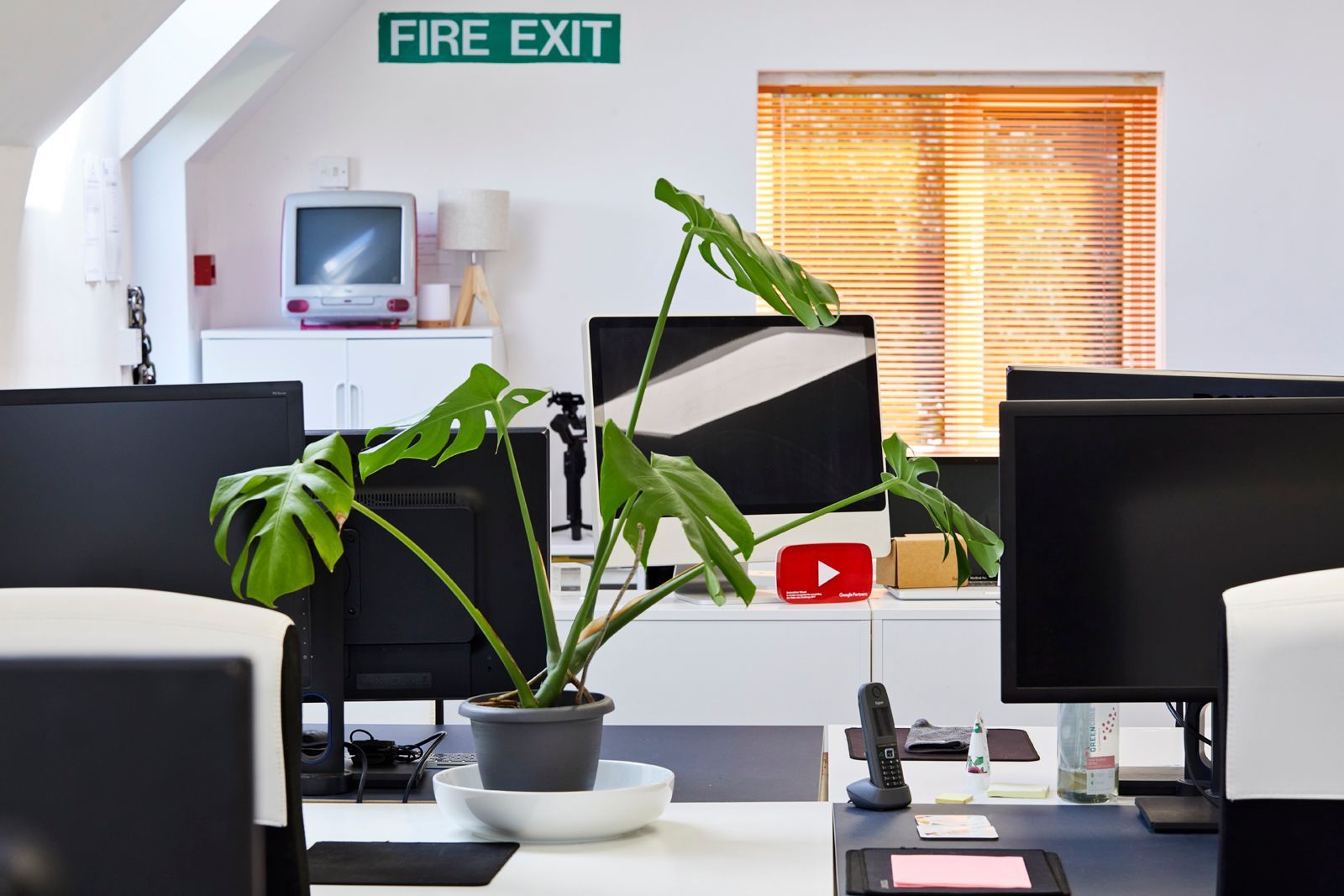 Desk space with plants at Tanshire Business Park