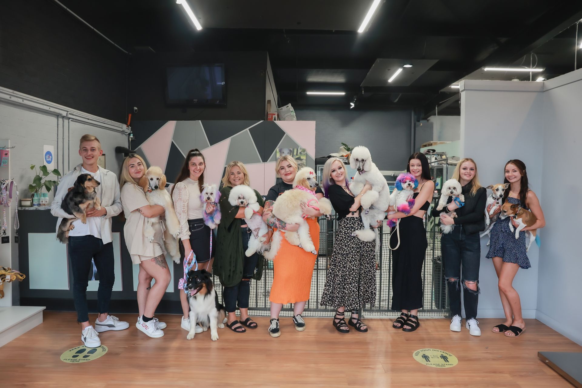 Group of people holding dogs inside a shop with pink and gray decorations.