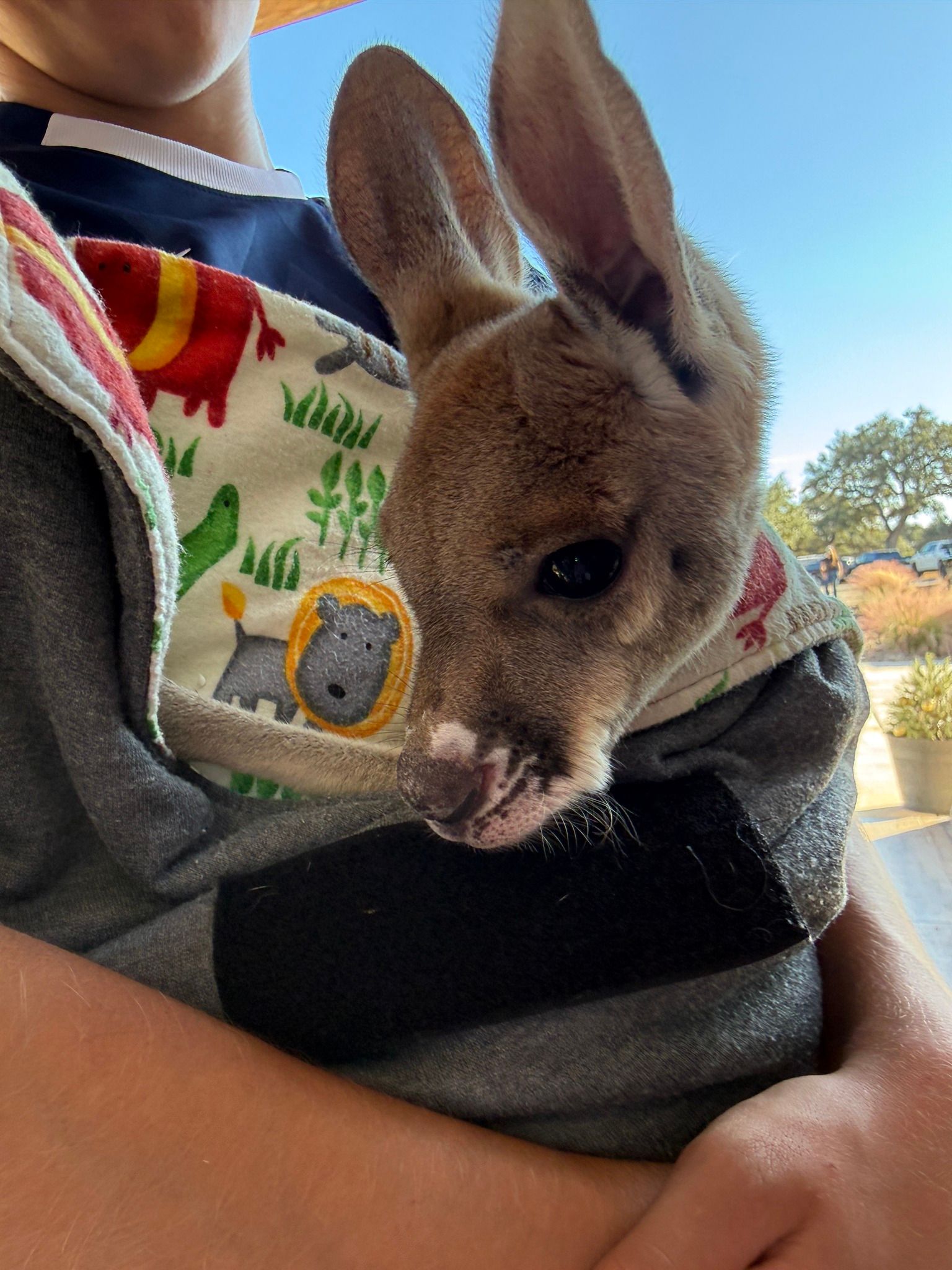 a picture of a person holding a baby deer