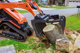 Orange skid steer removing a large tree stump in a grassy yard beside a driveway