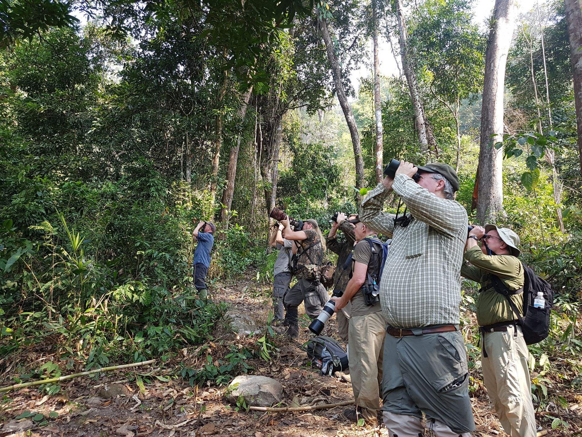 svc tours bird watching