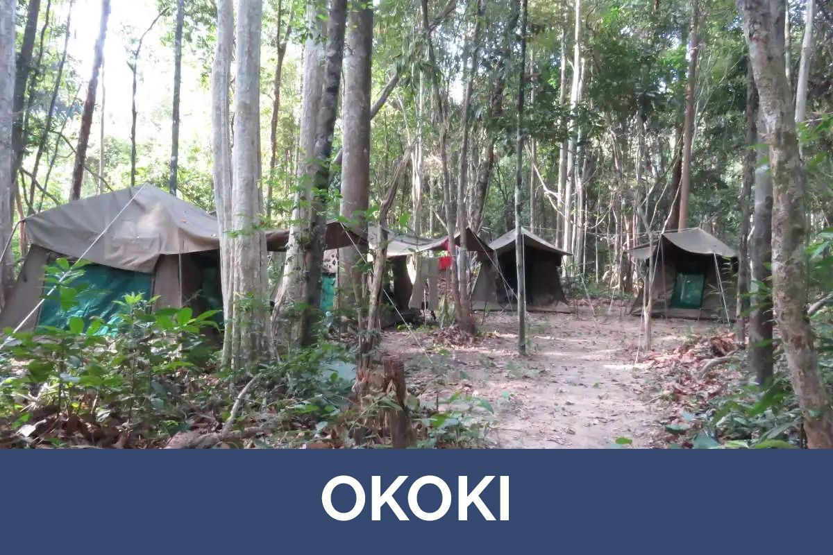 Okoki for birding
