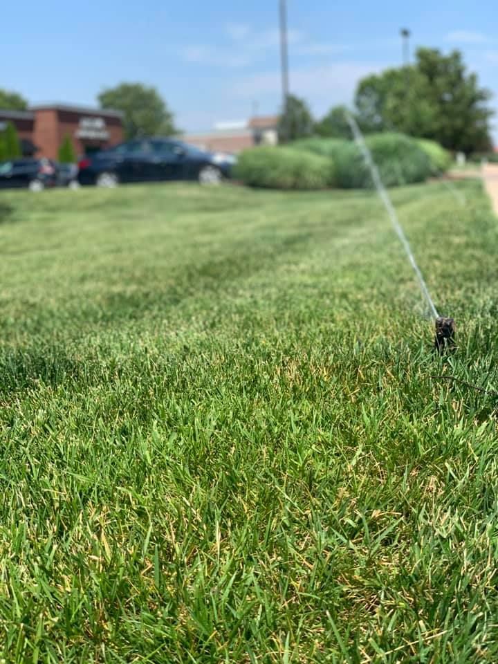 Sprinkler watering green lawn, blurred background of cars, buildings, and shrubs on a sunny day.