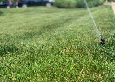 Green lawn being watered by a sprinkler; cars and bushes in the background.