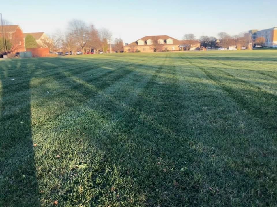 Green grass field with long shadows from nearby trees, houses in the background.