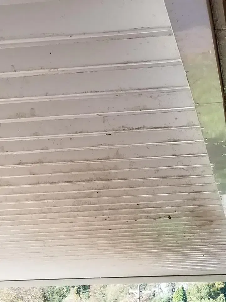 White corrugated ceiling with dirt and streaks.