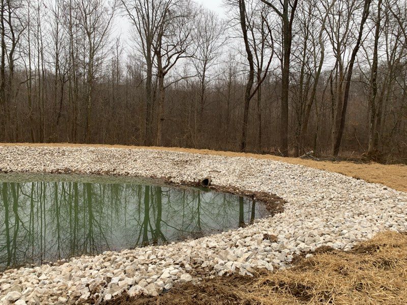 Pond with light colored rocks lining the edge, surrounded by trees. The water reflects the trees.