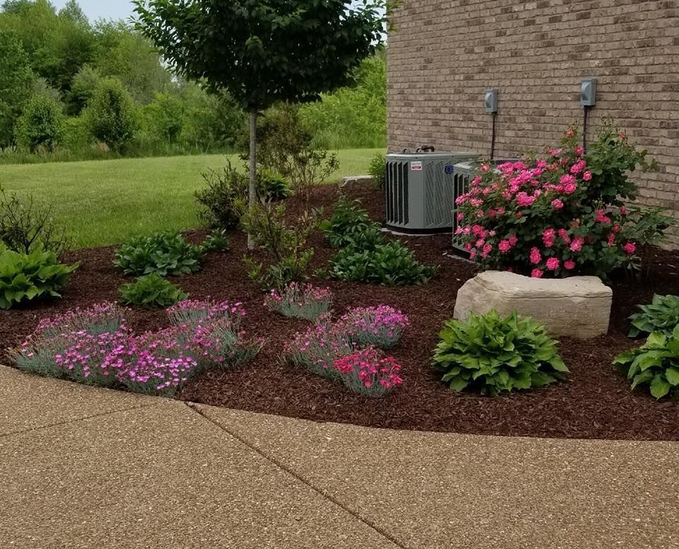 Landscaped flower bed with pink flowers, green plants, and bark mulch near a brick building.