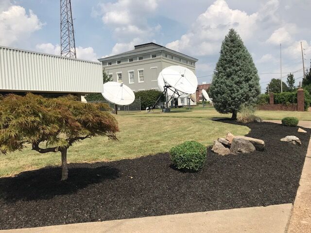 Lush lawn with satellite dishes, a building, trees, and dark mulch border in a sunny outdoor setting.