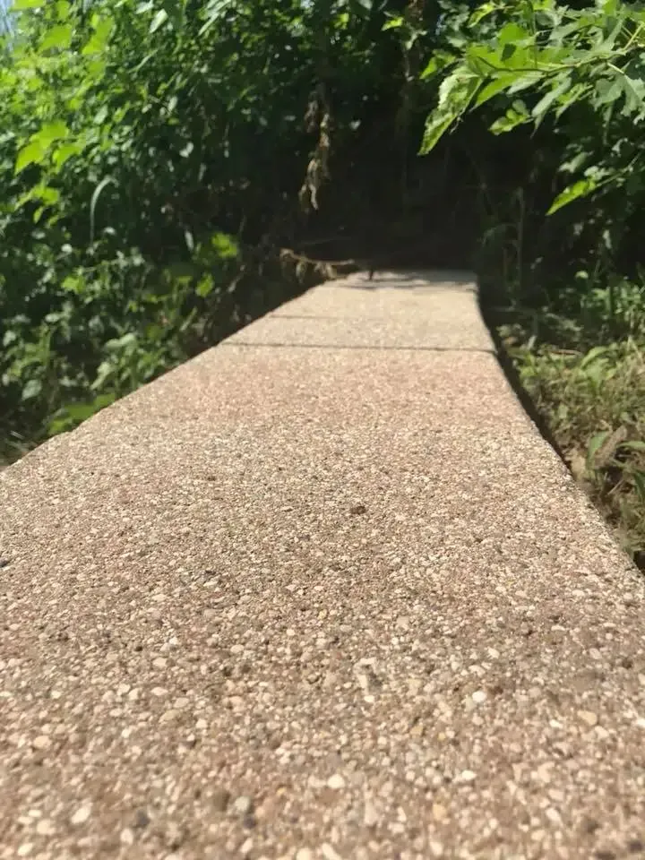 Concrete walkway leading into a shaded, overgrown area with green foliage on both sides.