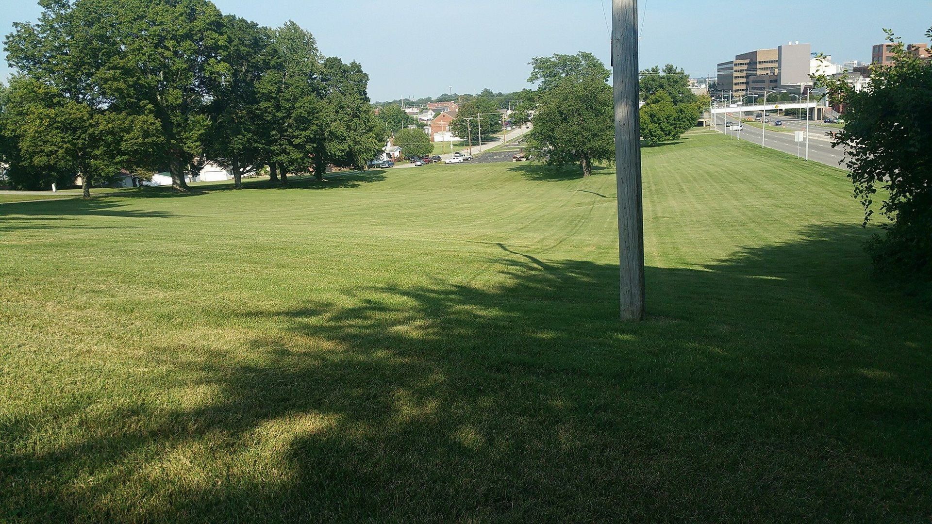 Grassy hillside park with trees under a sunny, bright blue sky. A utility pole is in the foreground.