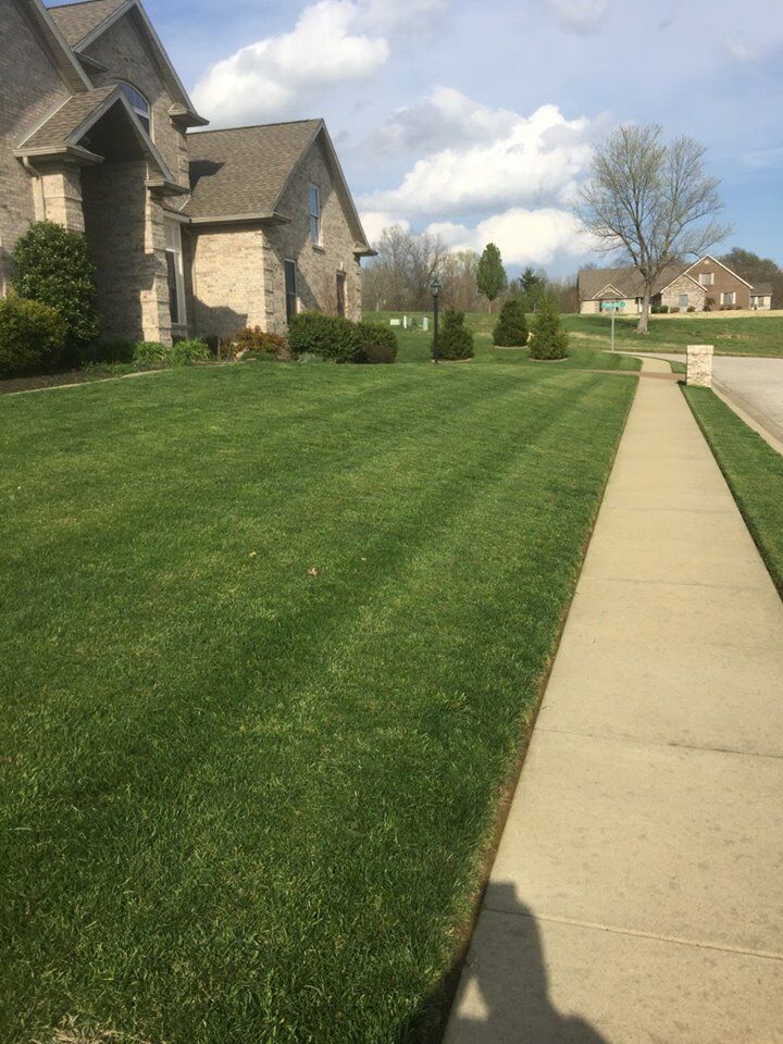 Well-manicured green lawn with mowing stripes, sidewalk, and a brick house on a sunny day.