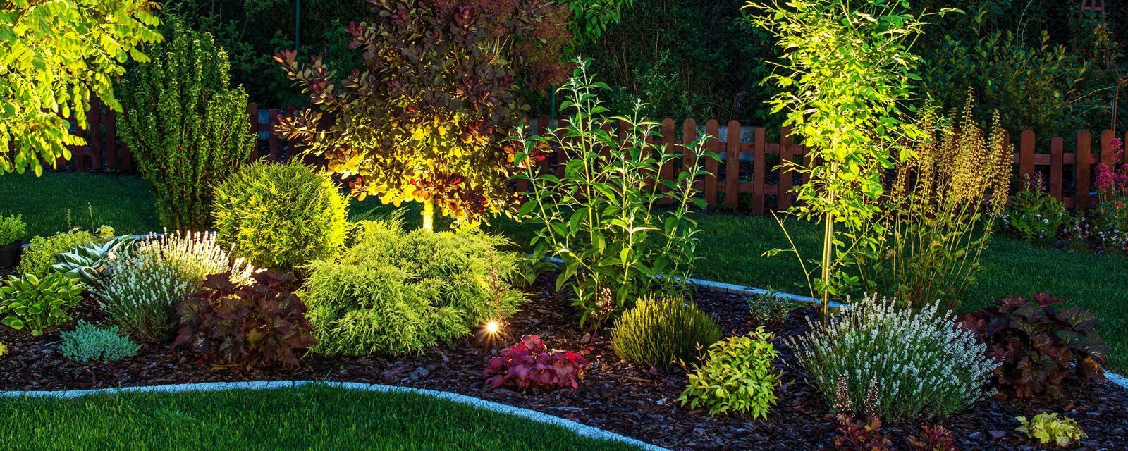 A vibrant garden bed filled with diverse plants and shrubs, illuminated by warm lighting.