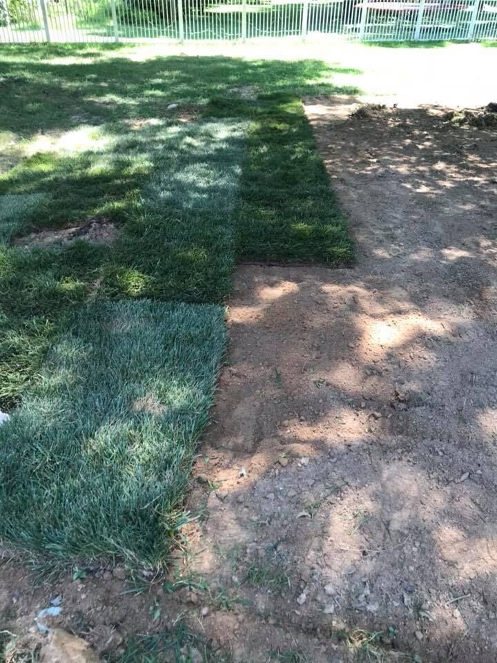 Laying sod: Green turf next to bare dirt. In a yard near a white fence.