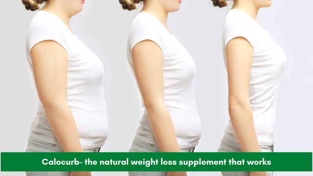 glp-1 and berberine Type 2 Diabetes the Connection: How can Help – PROVITA NUTRITION & HEALTH Color:Sky Blue Health & Pharmacy - wellness templates
