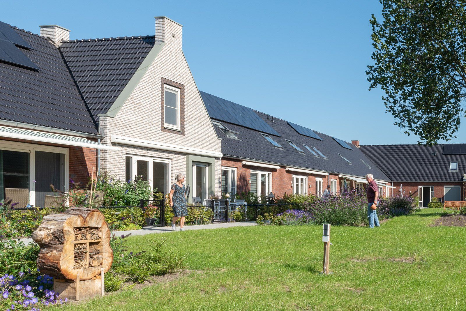Zwolle Aahof eerste Knarrenhof in Nederland in de tuin van het hofje ©Walter Frisart FOTOwerk