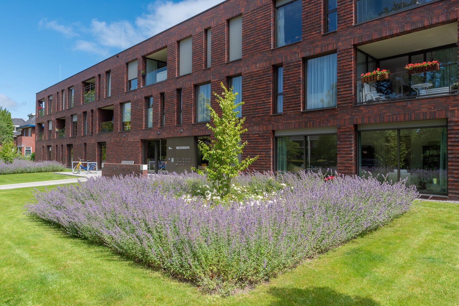Portfolio Walter Frisart FOTOwerk Tuinfotograaf: Tuin woonzorg Westerhuys Haren voor Aberson