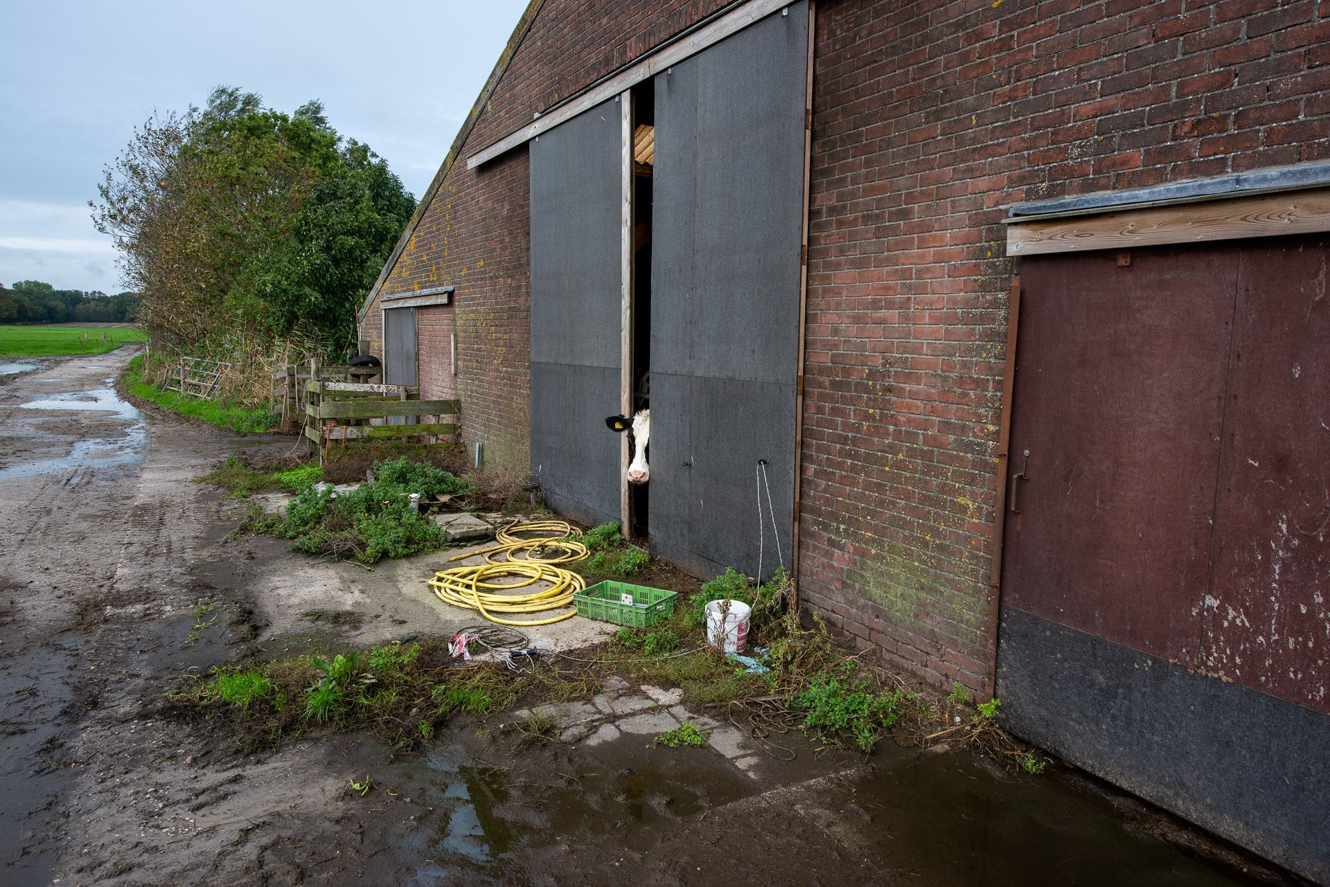 Schuur met grote open schuifdeuren, modderige grond ervoor. Rode bakstenen buitenkant en een gele slang zichtbaar.