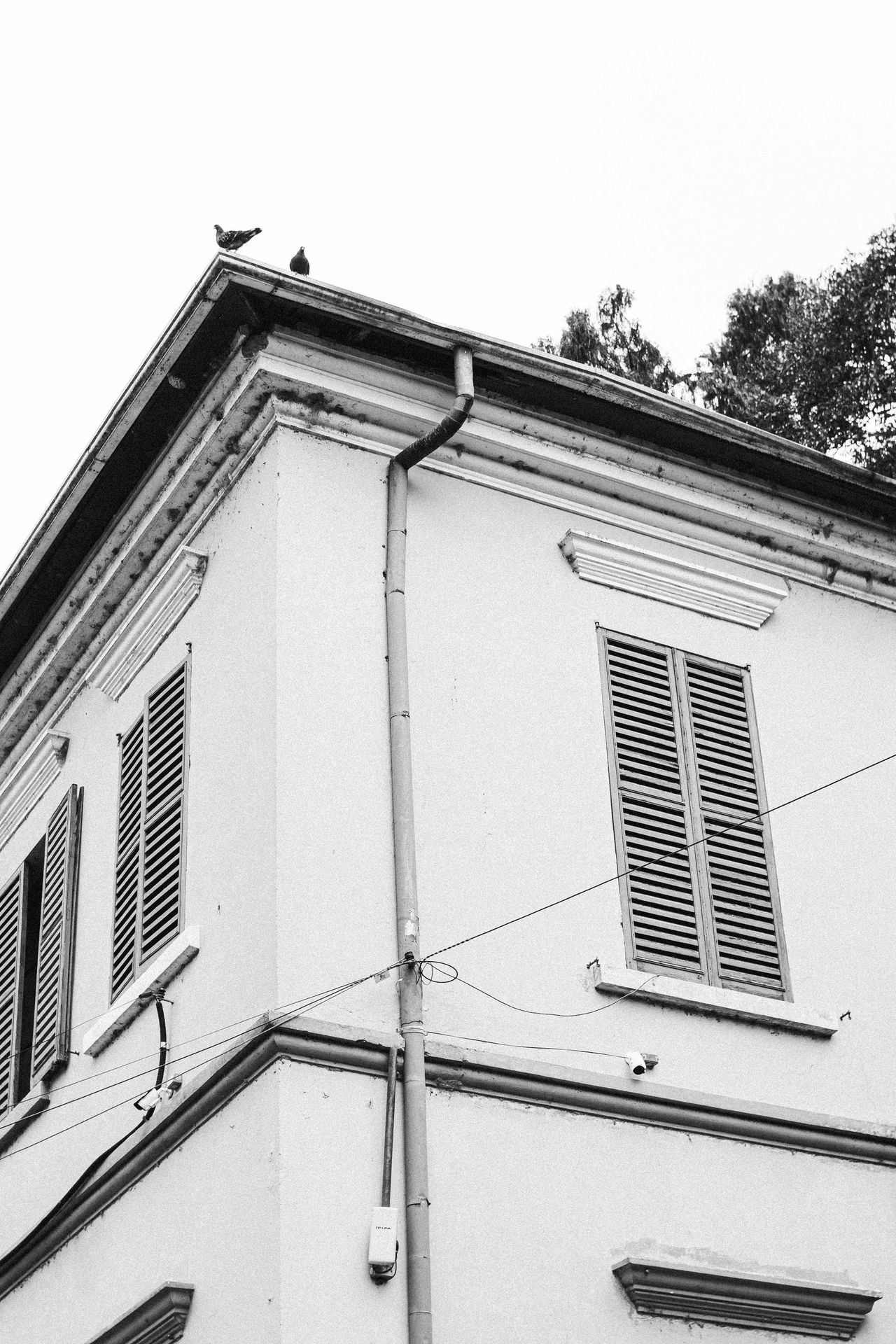A black and white photo of a building with a bird on the roof