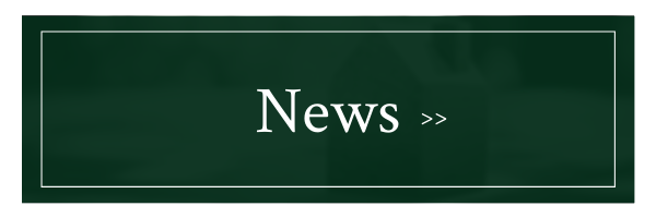 Green button labeled “News >>” with a white border