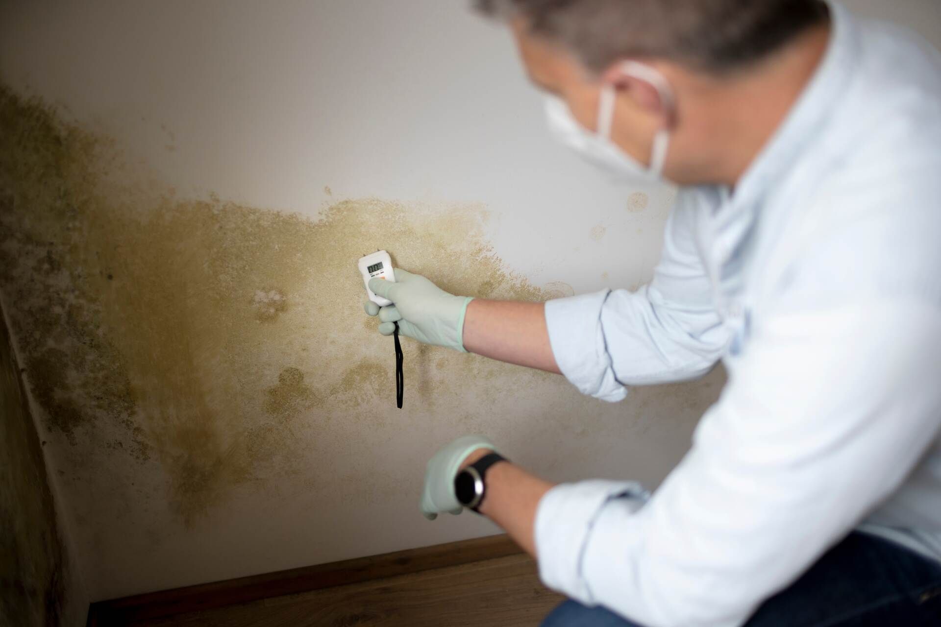 How Do Home Inspectors Test for Mold?