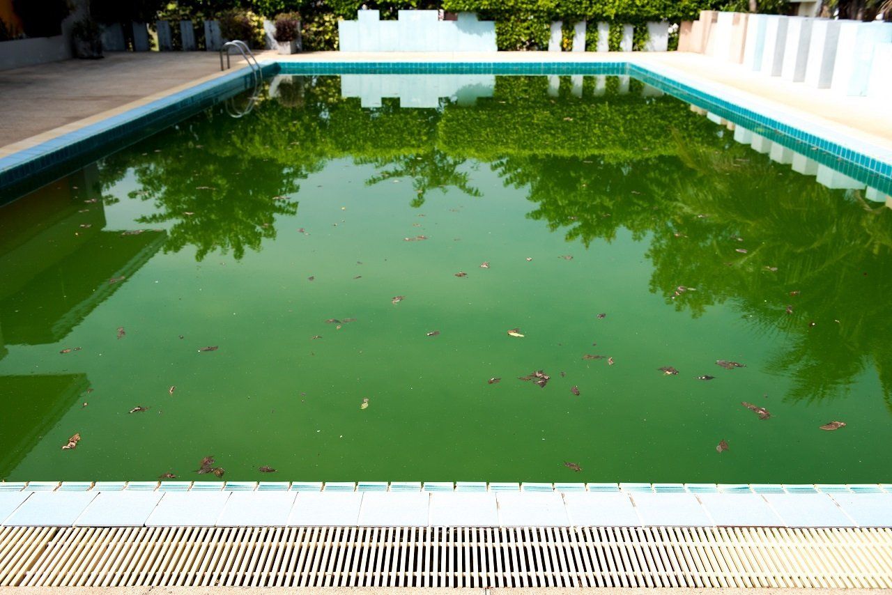 pool inspection