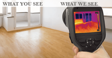 moisture evaluation south florida