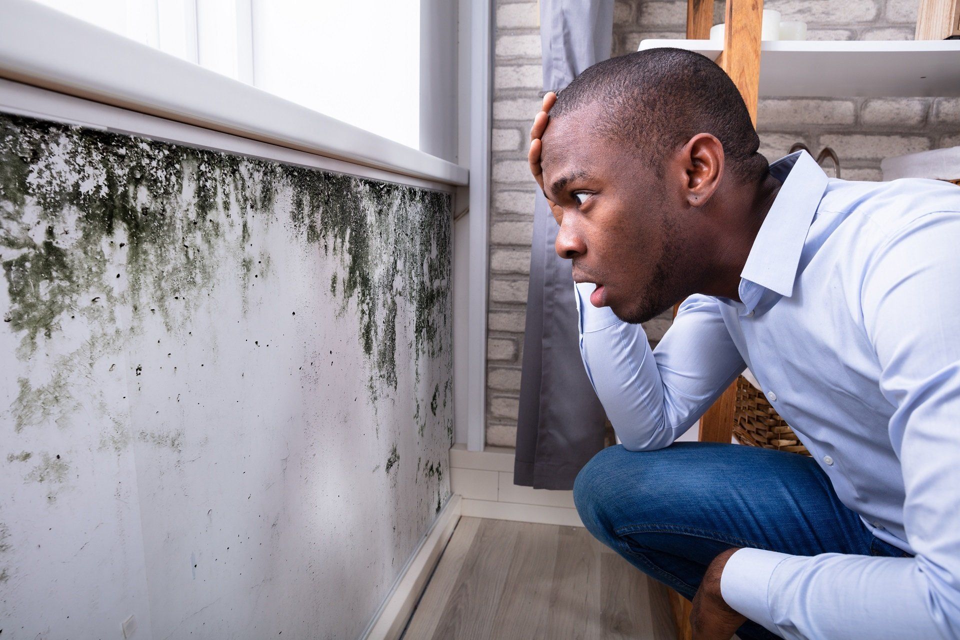 mold inspections