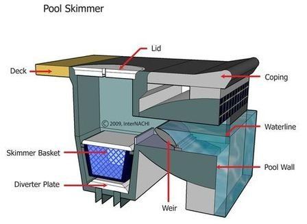 pool skimmer