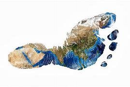 Carbon footprint e water footprint