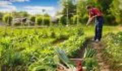 Agricoltura Biologica un futuro sostenibile per la terra e la nostra salute.