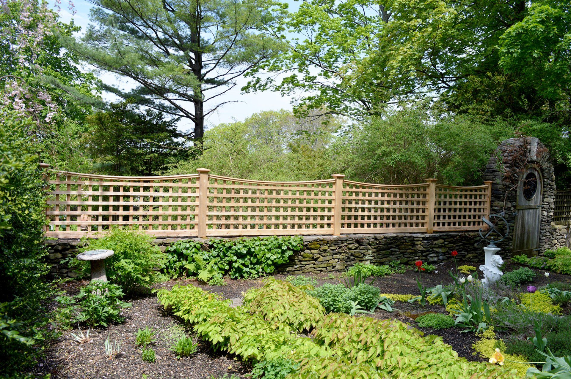 Lattice