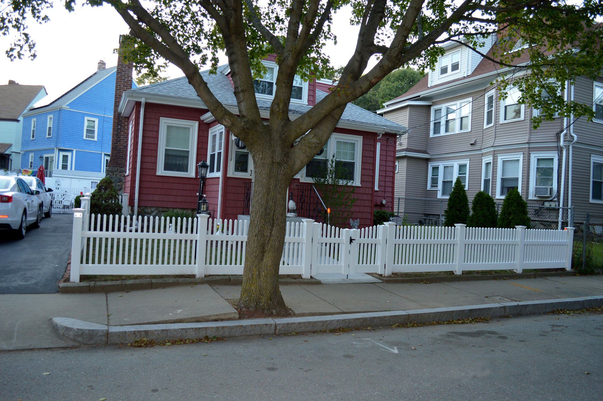Vinyl (Chestnut Hill)
