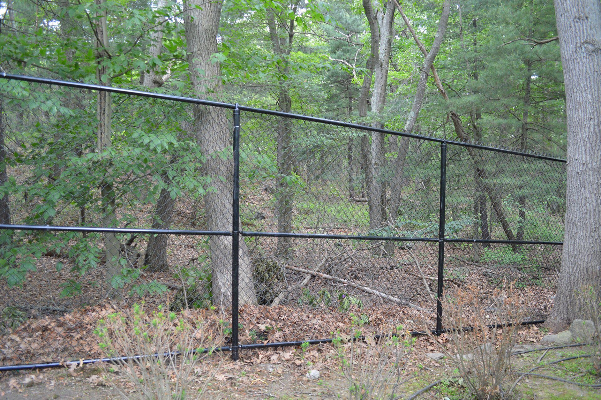 Chain Link