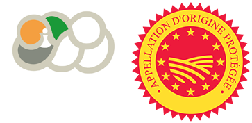 Logos for 