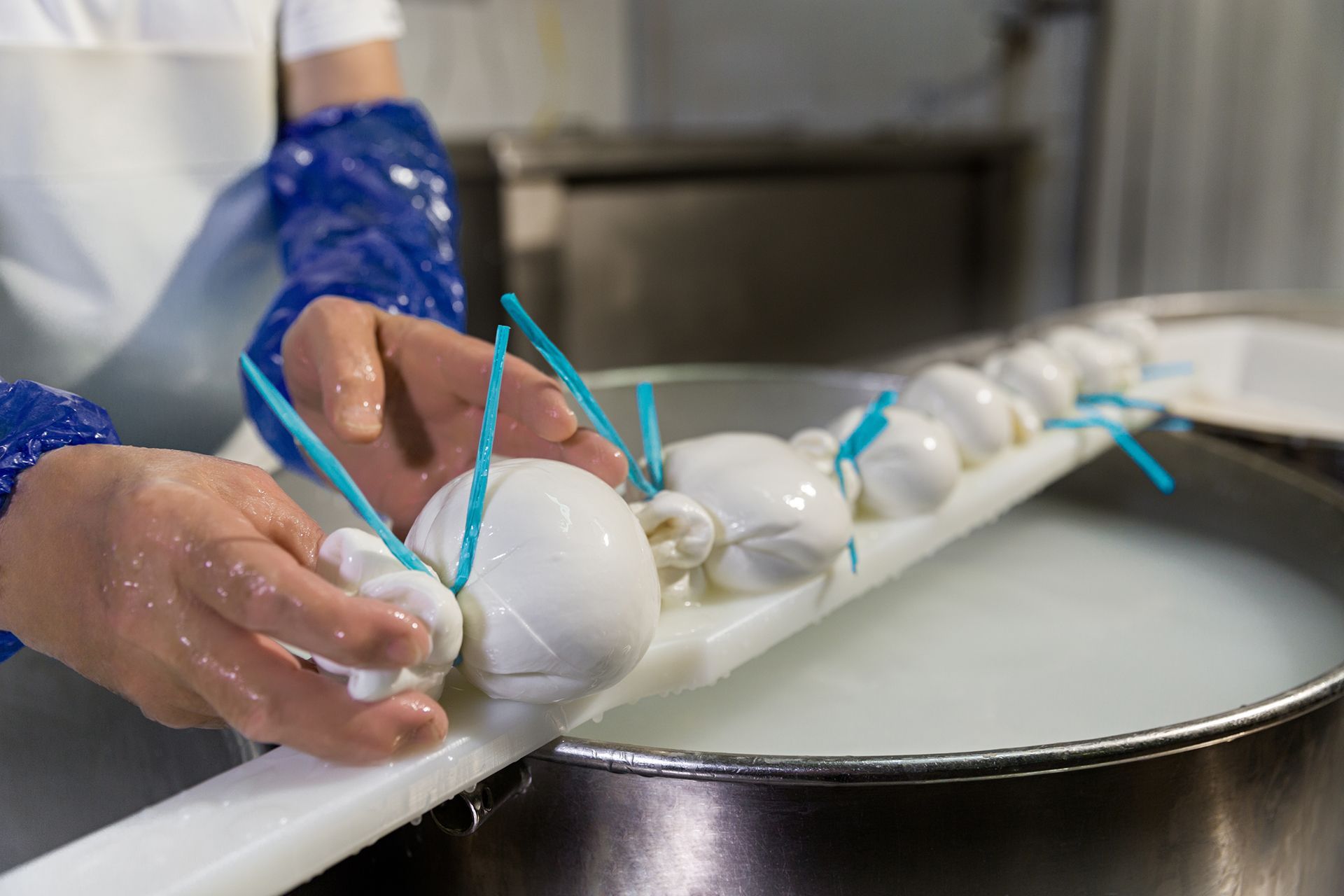 Una persona lega con uno spago blu delle palline di mozzarella fresca su una linea di produzione.