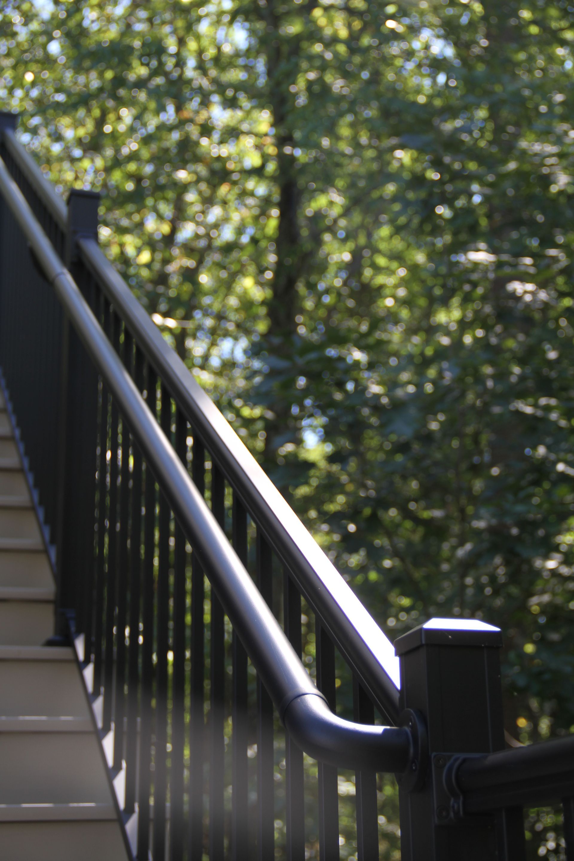 Black railing with vertical bars on outdoor stairs, green trees in background.