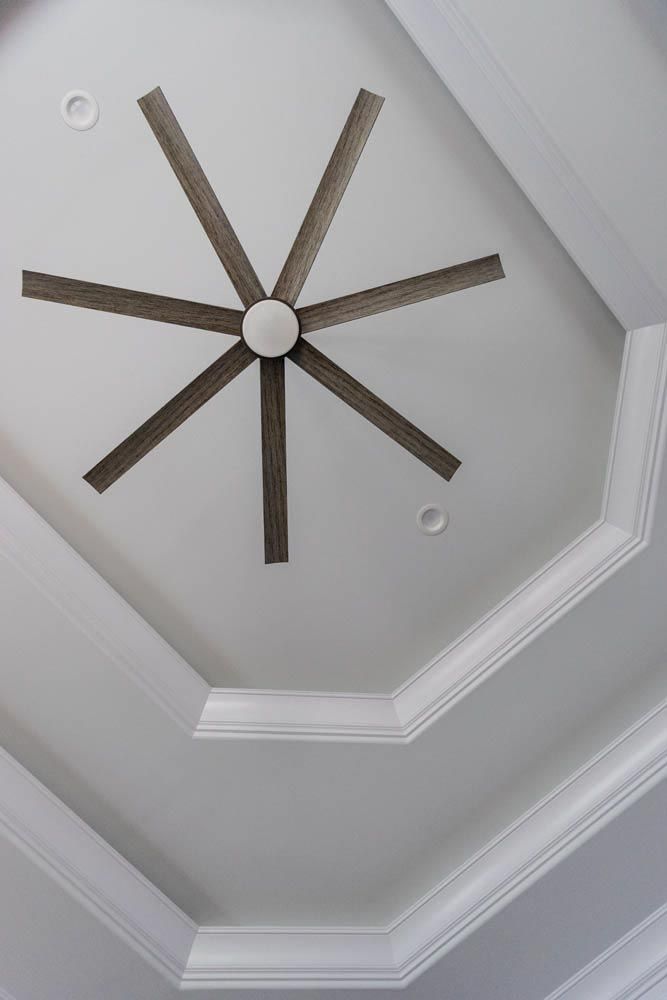 Ceiling with a multi-blade fan and ornate molding. White and grey tones.