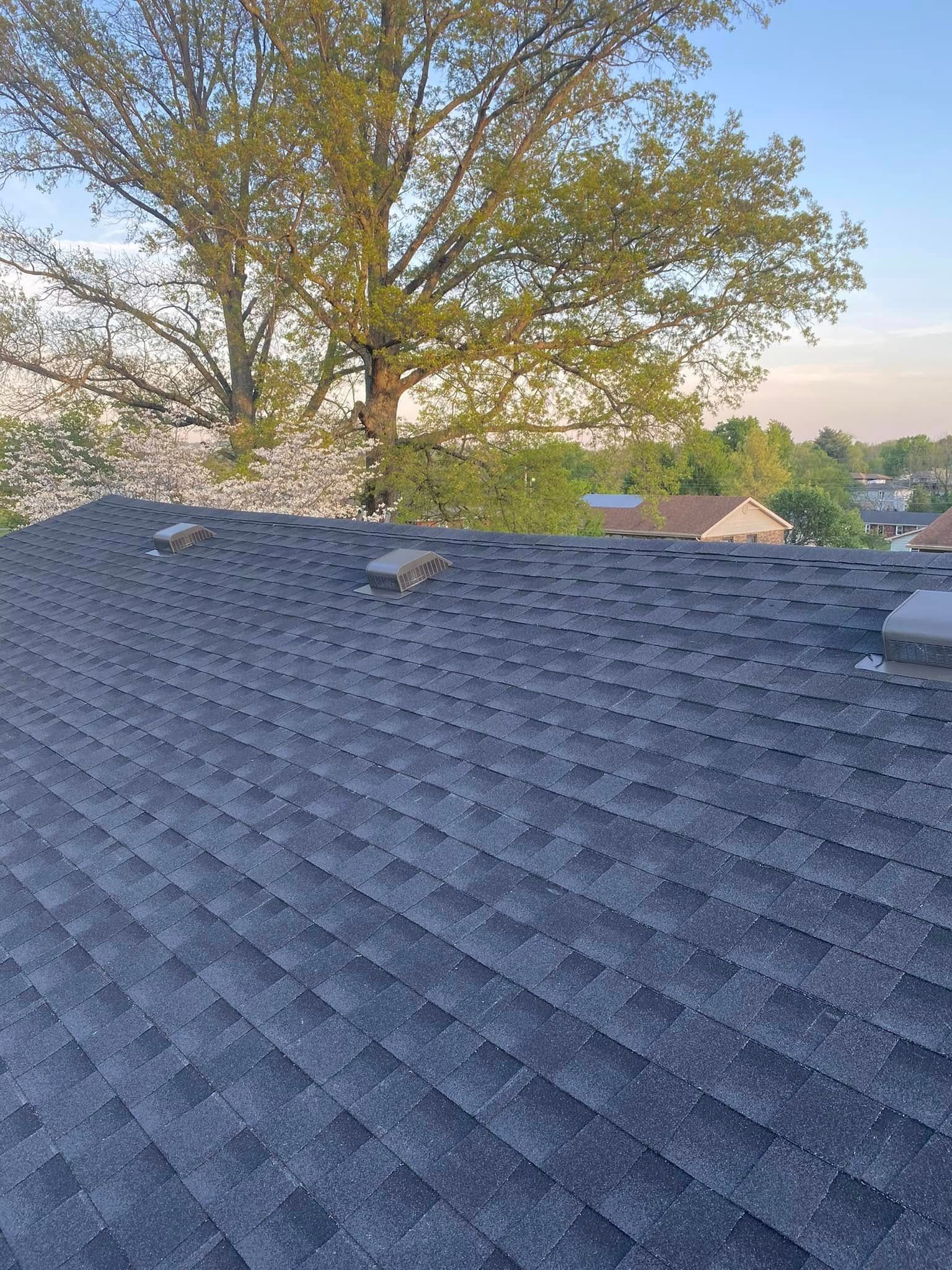 Tree above gray shingle roof at sunset