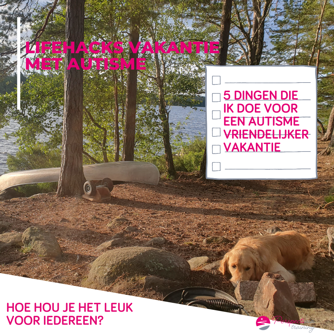 hond die relaxte vakantie heeft